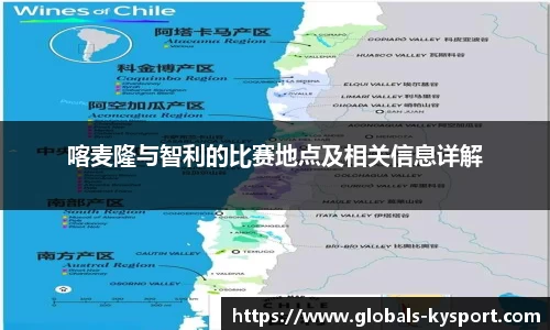 喀麦隆与智利的比赛地点及相关信息详解